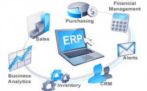 ERP-Software1-300x186